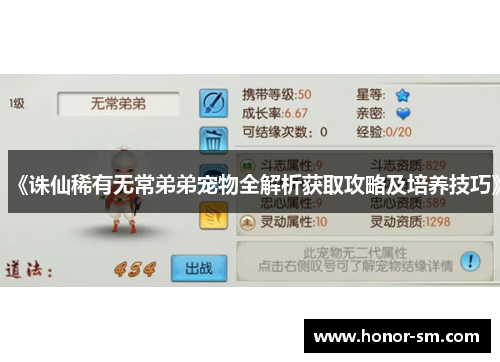 《诛仙稀有无常弟弟宠物全解析获取攻略及培养技巧》