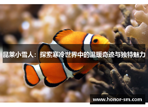 昆莱小雪人：探索寒冷世界中的温暖奇迹与独特魅力